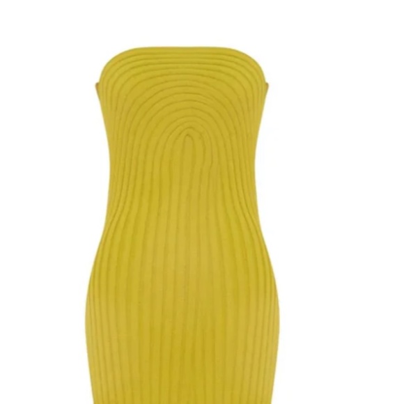 Hanifa Dresses & Skirts - ROXI KNIT TUBE MAXI